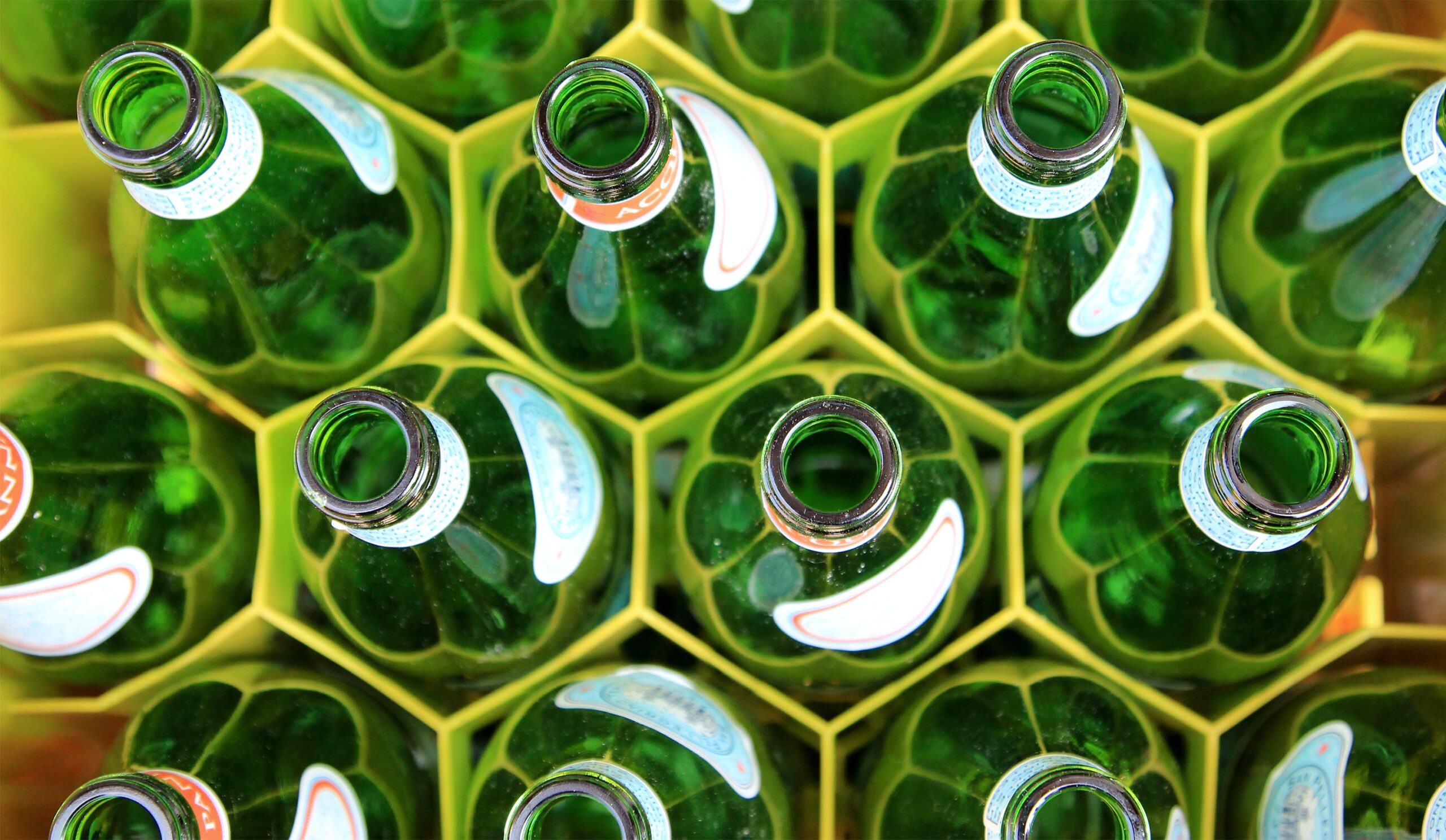 Circular Economy and Resource Efficiency Delivery Bodies Review