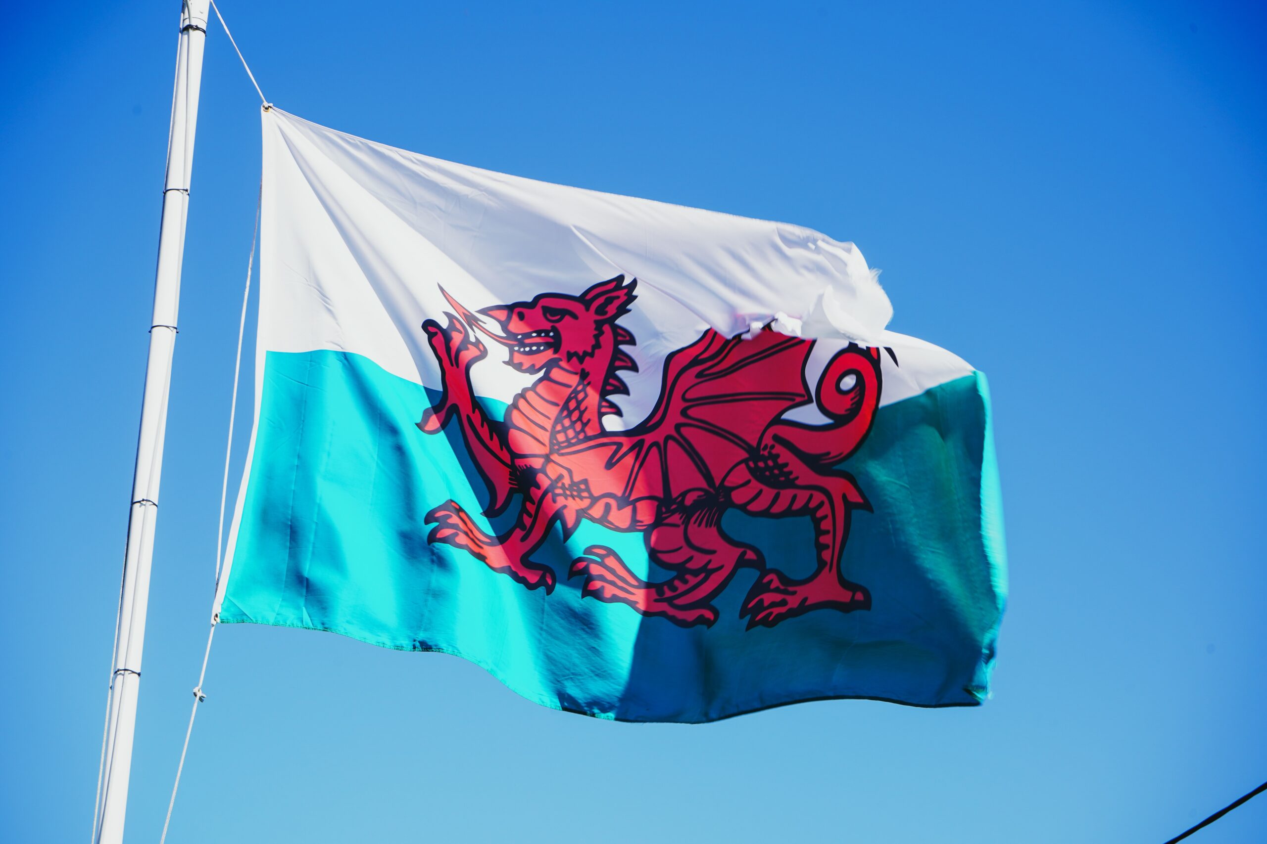 Setting the Future Focus for the Office of the Future Generations Commissioner for Wales: Research to inform priorities and future work