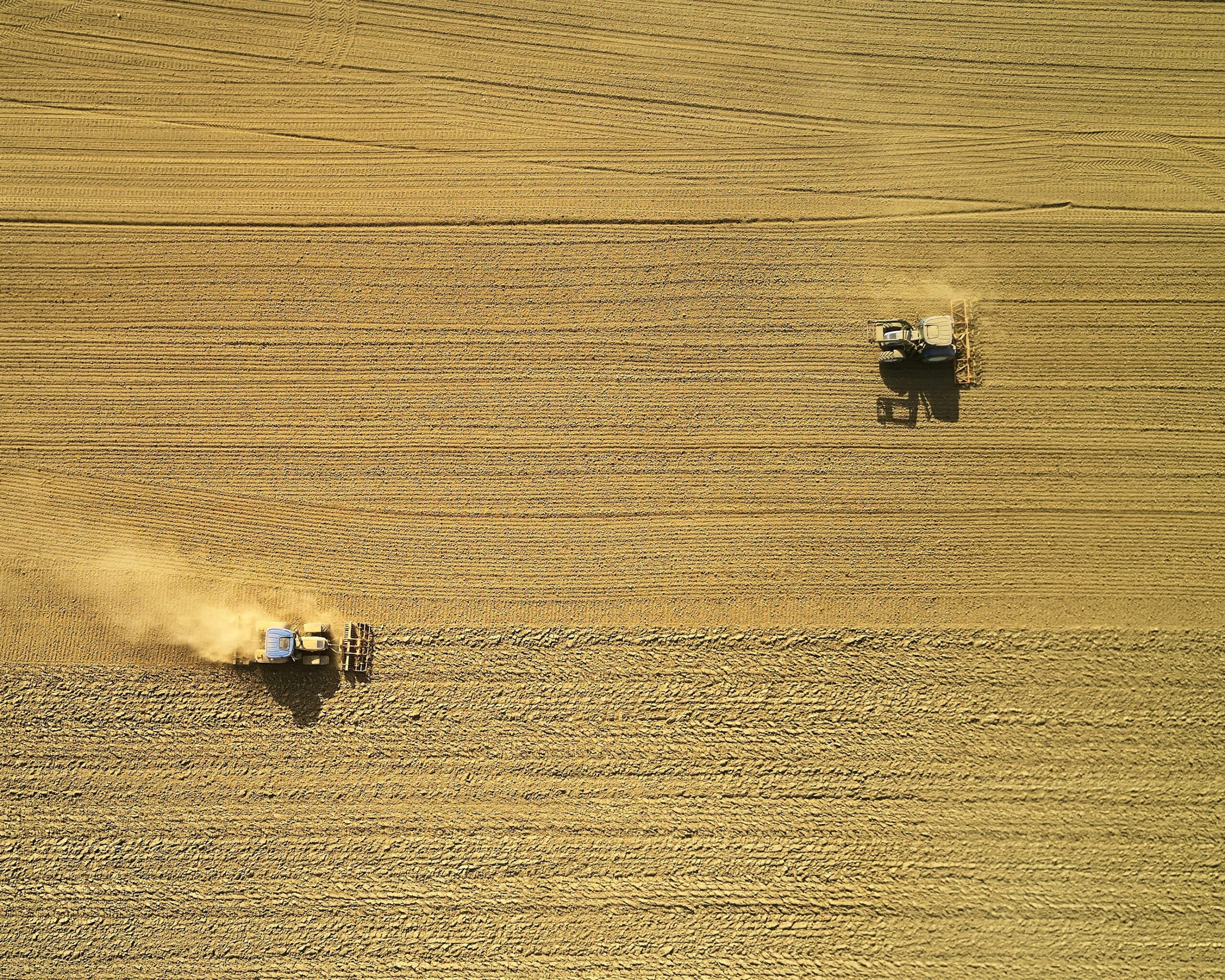 Sustainable Farming Scheme: Keeping Farmers Farming
