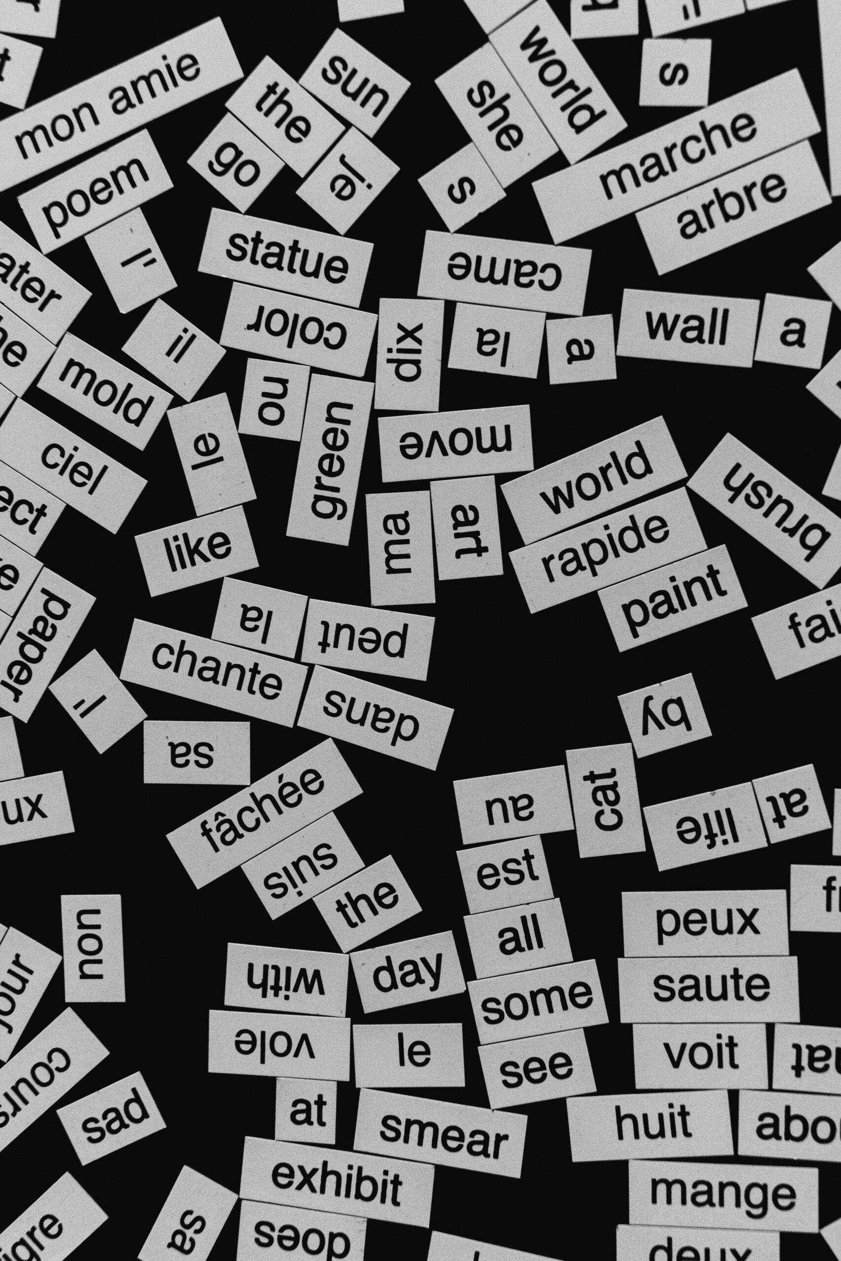 Evaluation of the Modern Foreign Languages Mentoring Project