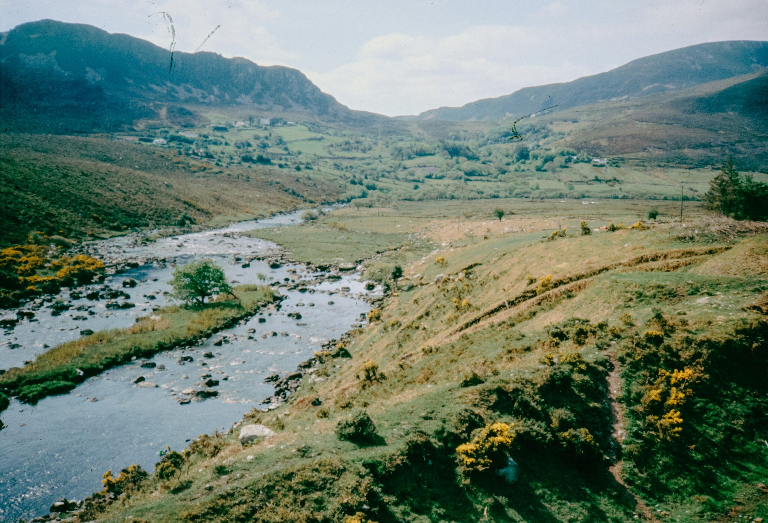 Review of Divergence in Environmental Regulation in Northern Ireland Relating to Nutrient Management