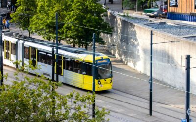 Opinion: A by-election on the future of net zero